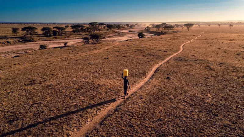 Warka Water: The Tower That Pulls Drinking Water From Thi... - Foto 1